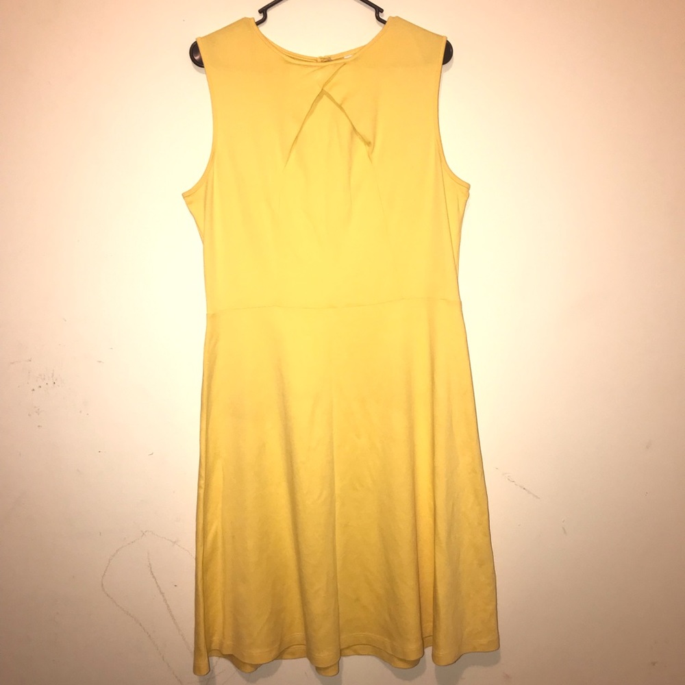 New York & Company Dress